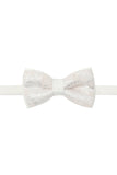 Luscious Paisley Bow Tie