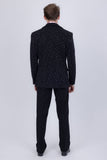 Jaipur Sparkling Suit