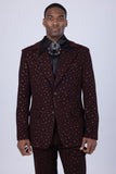 Jaipur Sparkling Suit
