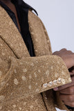 Jaipur Sparkling Suit
