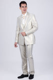 Durban Shiny Suit