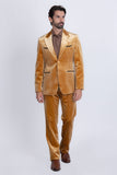 Bangalore Velvet Suit
