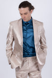 Poleone Sheeny Suit