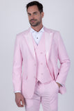 Archibald Tuxedo Suit