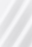 Imperial Flight SS Shirt WHITE/SILVER
