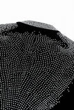Regal Cascades Embellished Velvet Blazer BLACK/SILVER