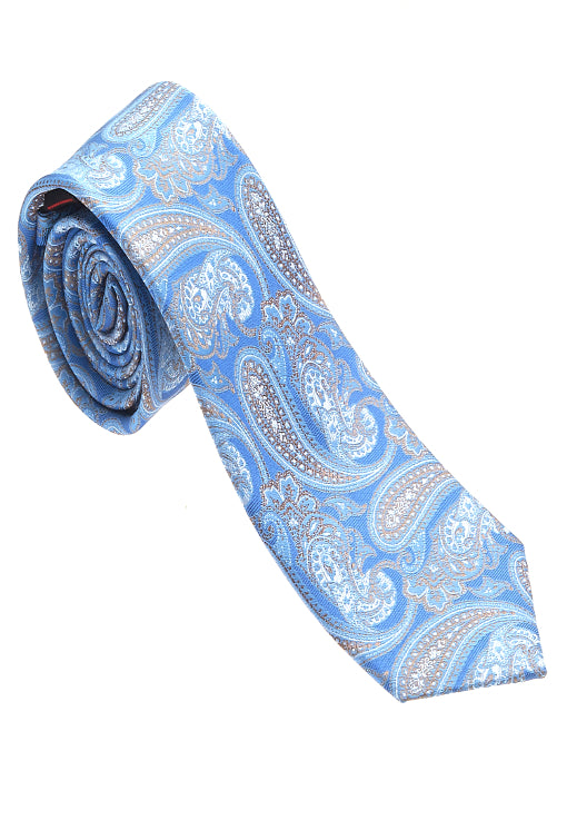 Blue Paisley 100% Woven Silk Necktie