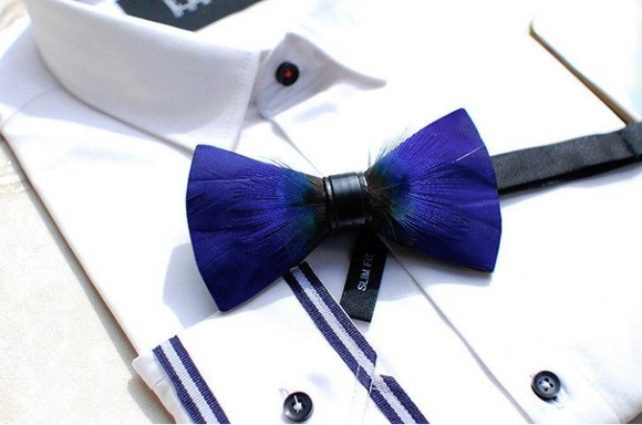 Royal Blue Feather Bow Tie